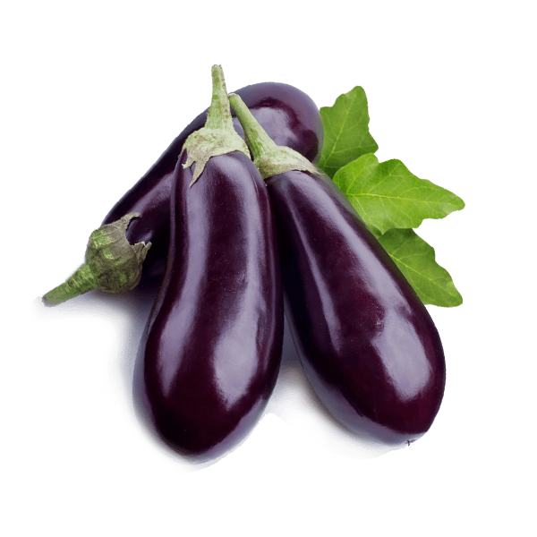 aubergine