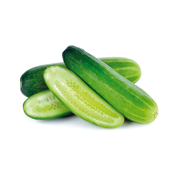 cucumber