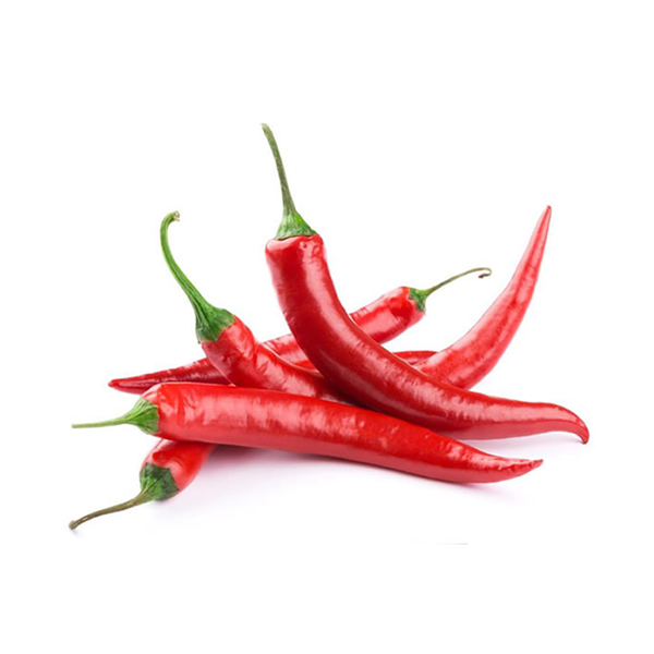 long-chilli